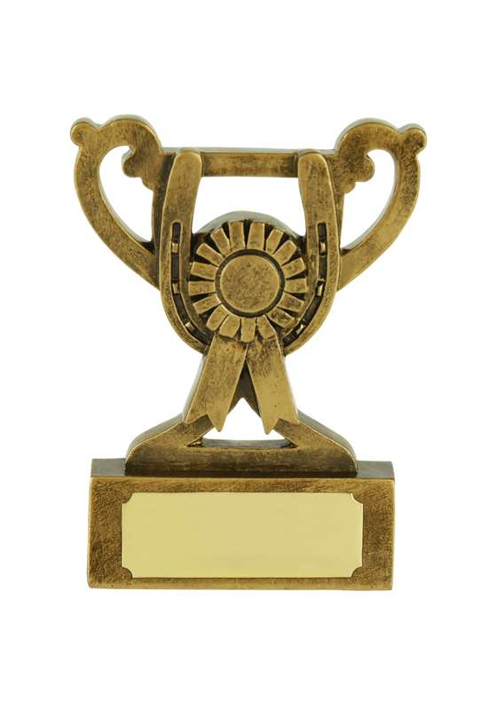 Celebrate Your Equestrian Achievements with Our Trophies
